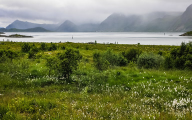 Wall Mural - Village on the fjord with a pier in Norway. Cloudy day