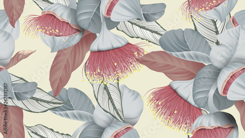 Floral seamless pattern, Eucalyptus rhodantha flowers or rose mallee and Cala...
