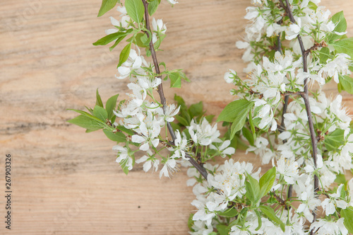 Fototapeta na drzwi i meble Spring nature background with lovely blossom