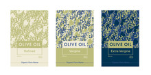 Olive Oil Hand Drawn Vector Background Set