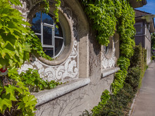 Round Circular Window Surrounded By Green Ivy On Old Building In Switzerland.
