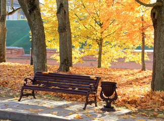 Wall Mural - trees with fall foliage on country park and bench