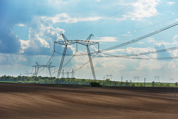 Wall Mural - Spring fields with bloom rape and power lines.