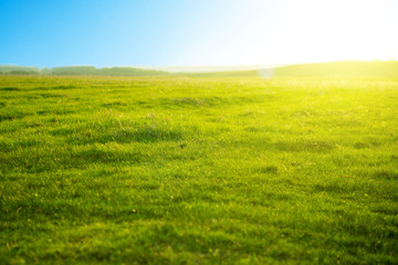 Spring fresh bright green grass at sunset on a warm sunny day. Green meadow under blue sky with clouds