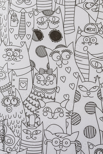 Arriere Plan Noir Et Blanc Chats Rigolos Buy This Stock Photo And Explore Similar Images At Adobe Stock Adobe Stock