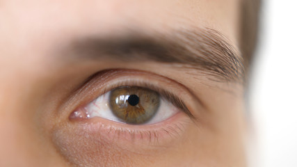 Close up of a male eye. Detail of a brown eye of a handsome man looking at camera