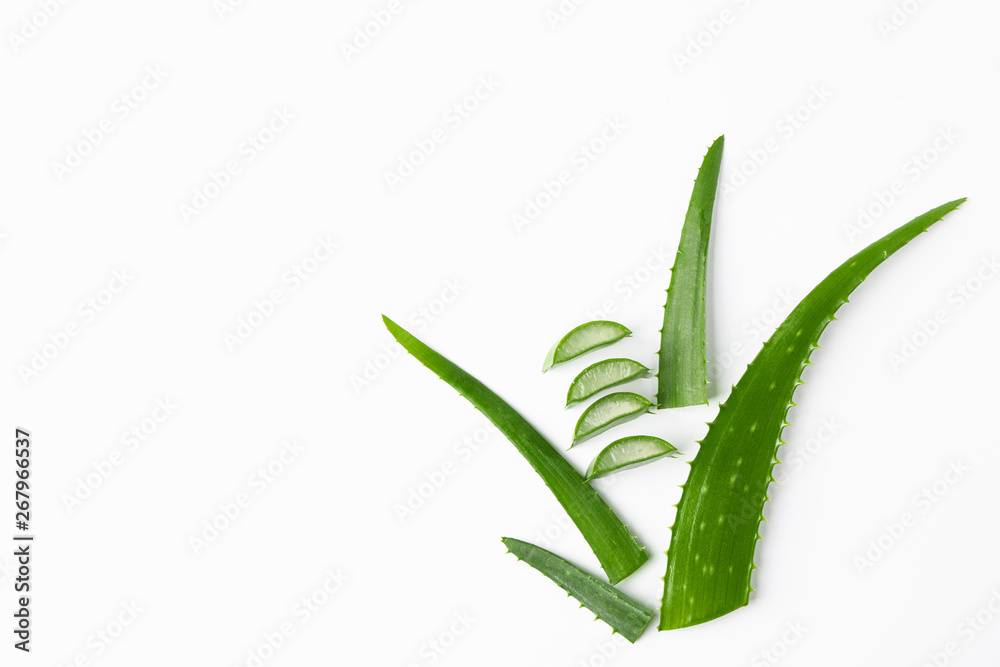 Aloe vera leaves and slices on white background, space for text. Natural treatment - obrazy, fototapety, plakaty 