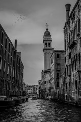 Wall Mural - Venezia