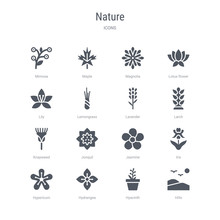 Set Of 16 Vector Icons Such As Hills, Hyacinth, Hydrangea, Hypericum, Iris, Jasmine, Jonquil, Knapweed From Nature Concept. Can Be Used For Web, Logo, Ui\u002fux