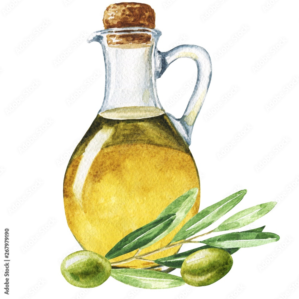 Hand drawn watercolor bottle of olive oil with leaves and brunch ...