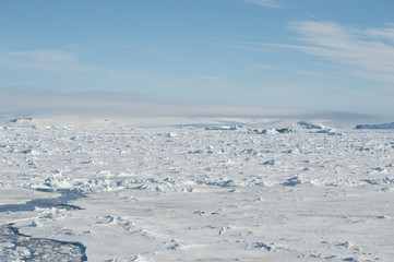 A view of the antarctica, sea and ice. Ice melting at the antarctica, global warming is a present danger for future generations 