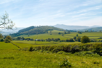 Wall Mural - rural landscape with green field and trees ( pen y fan from brecon)