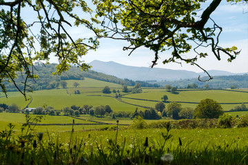 Wall Mural - rural landscape with green field and trees ( pen y fan from brecon)