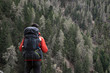 Back view of a young caucasian man with a trekking backpack doing a solo adventure in the wild mountains in north Italy 