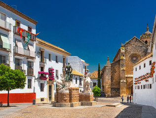 Wall Mural - Old town of Cordoba with flowers