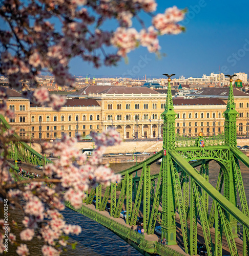 Beautiful Liberty Bridge with almond blossom in Budapest, Hungary