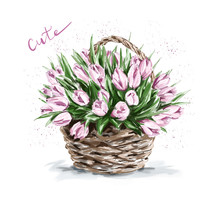 Hand Drawn Beautiful Pink Flowers In Basket. Cute Tulips. Sketch. Vector Illustration.