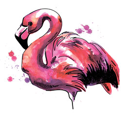 Flamingo. Drawing by hand. Bright watercolor stain. Multicolored paint stains.