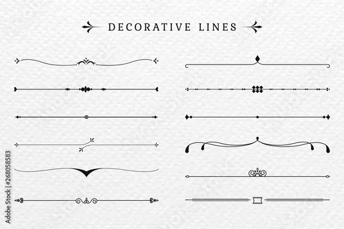 Fotomural Vintage decorative lines collection
