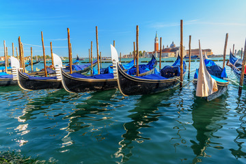 Wall Mural - Gondolas moored by Piazza San Marco. Venice. Italy