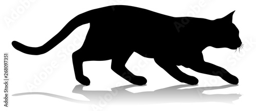 A silhouette cat pet animal...