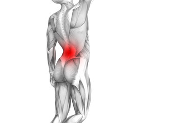 Conceptual back human anatomy with red hot spot inflammation articular joint pain or spine health care therapy or sport muscle concepts. 3D illustration man arthritis or bone sore osteoporosis disease