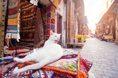 Fotografía Cute white cat sitting on hte carpet at souvenir shop on Fez Medina street, Morocco