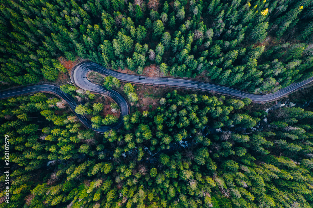 Drone view of winding forest road - obrazy, fototapety, plakaty 