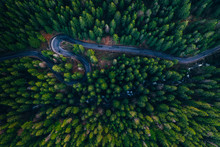 Drone View Of Winding Forest Road