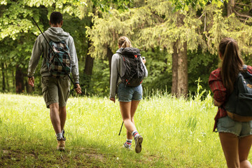 Wall Mural - group of friends hiking together in nature.they walking on old path.rear view.