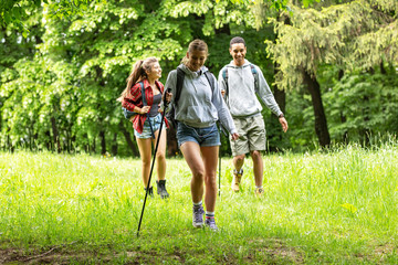 group of friends hiking in nature.they walking trough forest and meadows.