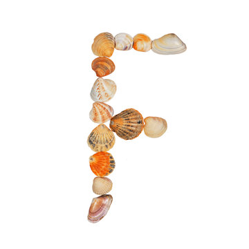 letters of the English alphabet, made of seashells