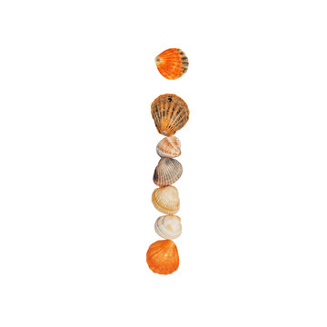 letters of the English alphabet, made of seashells