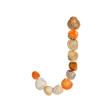 letters of the English alphabet, made of seashells