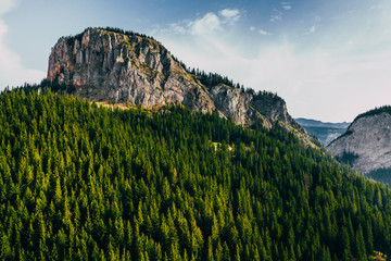 Wall Mural - Bicaz gorge seen from a drone