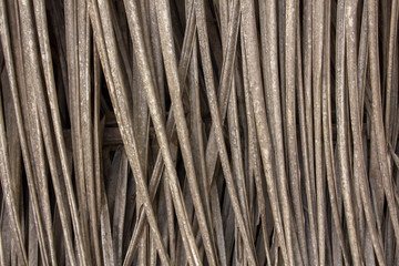 Wall Mural - gray dry palm leaf closeup. vertical lines. natural surface texture