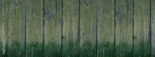 Panorama dark wooden green texture