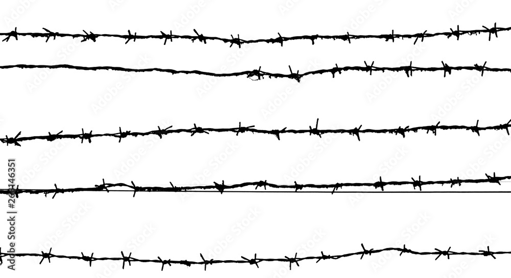 Barbed wire background： Vector fence illustration isolated on white - obrazy, fototapety, plakaty 
