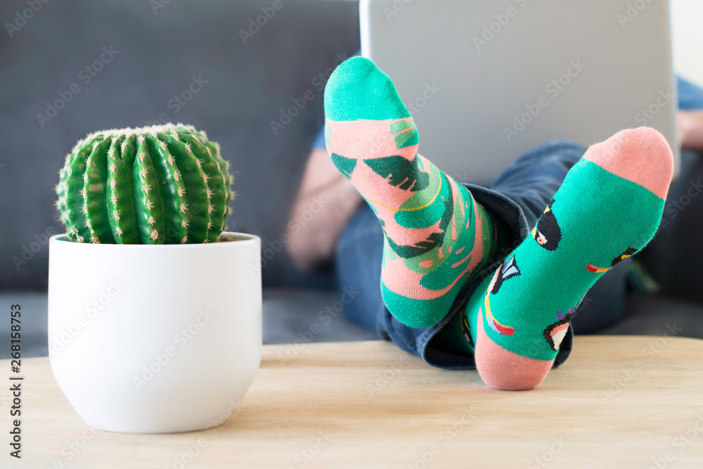 A man in crazy multi-coloured socks with feet and a cactus on table. Man  working on a laptop computer at home Stock Photo | Adobe Stock