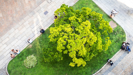 some people from above sitting at a small city park green