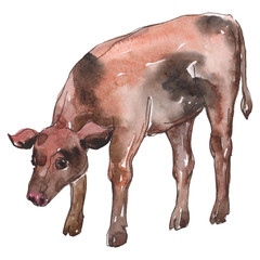 Cow farm animal in a watercolor style isolated. Watercolor background set. Isolated calf illustration element.