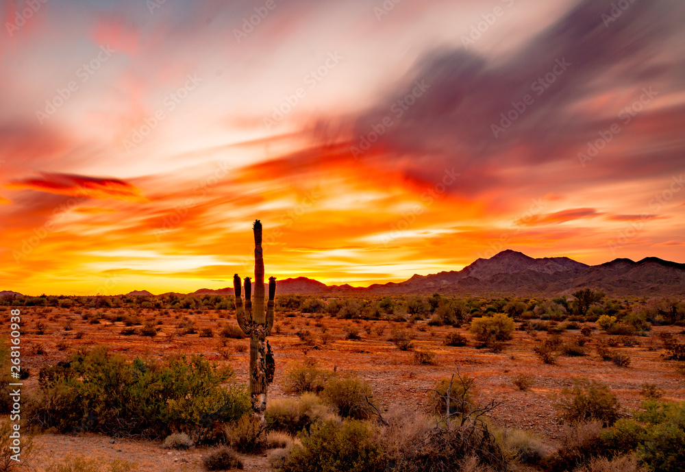 Buetiful Sunset in the Desert, Quartzsite Arizona - obrazy, fototapety, plakaty 