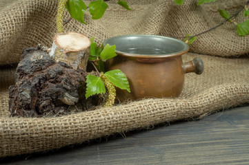 Twig with fresh green spring leaves and catkins