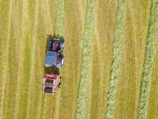 Sticker - Aerial view of tractor harvesting green hay from meadow.