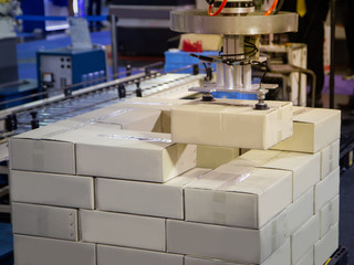 Industrial robot arm loading carton on conveyor in manufacturing warehouse.