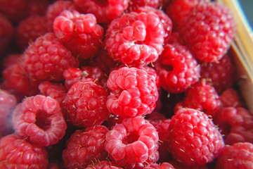 Wall Mural - Background of bright juicy ripe red raspberries