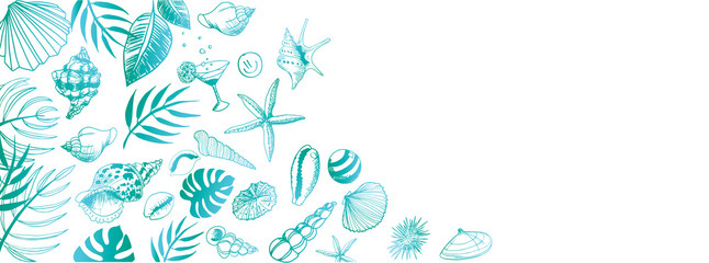 Wall Mural - Vector seashell banner