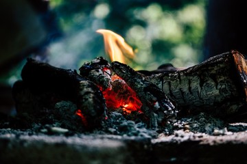 Poster - Closeup of burning logs indoors