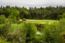 Little Spokane River At The Painted Rocks Area
