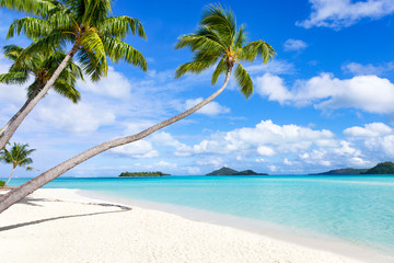 Wall Mural - sommer, sonne, strand und meer im urlaub